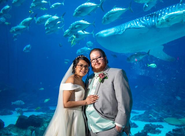 Sweetwater Wedding Photography & Video - 3