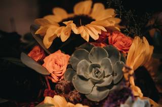 Kimball Floral - 40