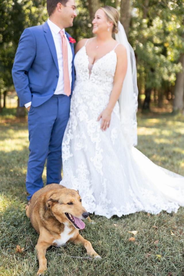 Virginia Ashley Photography - 3