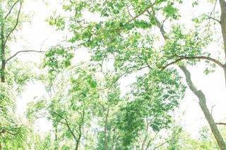Monica Brown Photography - 17