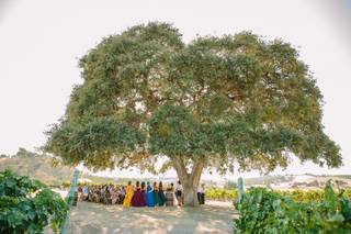 David Pascolla Photography - 5