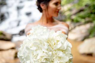 Elope Asheville - 16