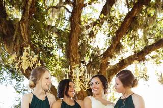Indigo Harvest Events @ D&J Blueberry Farms LLC - 7