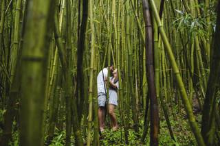 PhotoHawaii, Inc. - 37