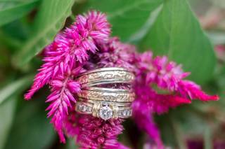 Jen Mertz Photography - 13