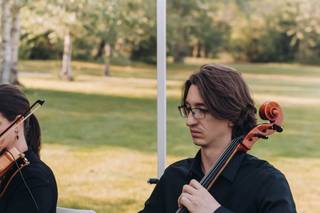 Stillwater String Quartet - 10