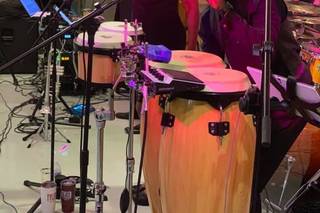 JTucker and the Krewe - 10