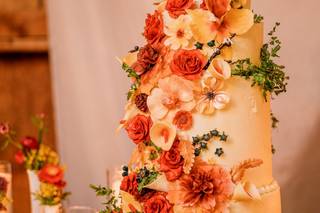 Mason Photography - 78