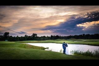 Colin Collins Photography - 10