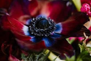 Stephanie Rogers Photography - 51