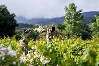 Abbot's Passage Winery & Mercantile - 11