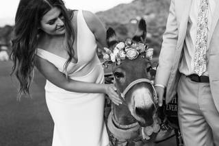 Haul N Ass Productions - 155