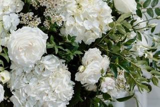 Justine's Flowers - 6