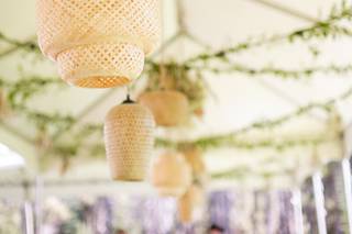 Sweet Lilacs - 9