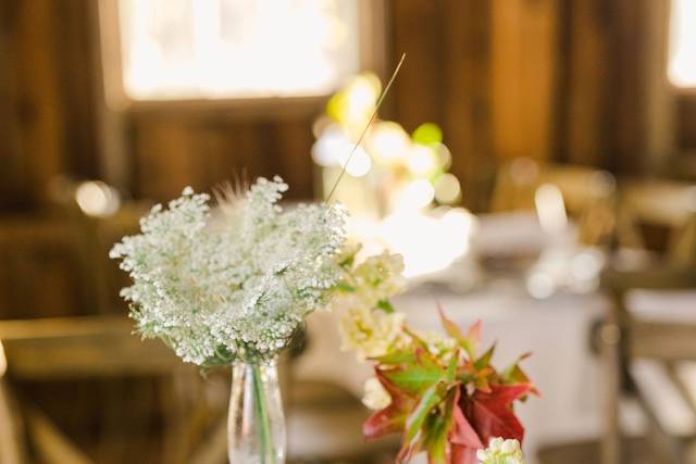 Treasure Chest Relic & Rustic Rentals 1