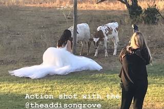 The Addison Grove - 75