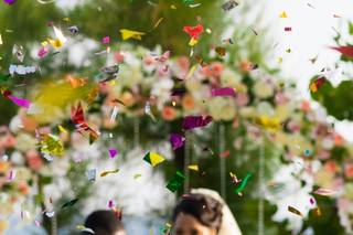 Chris Colyard Photography - 58
