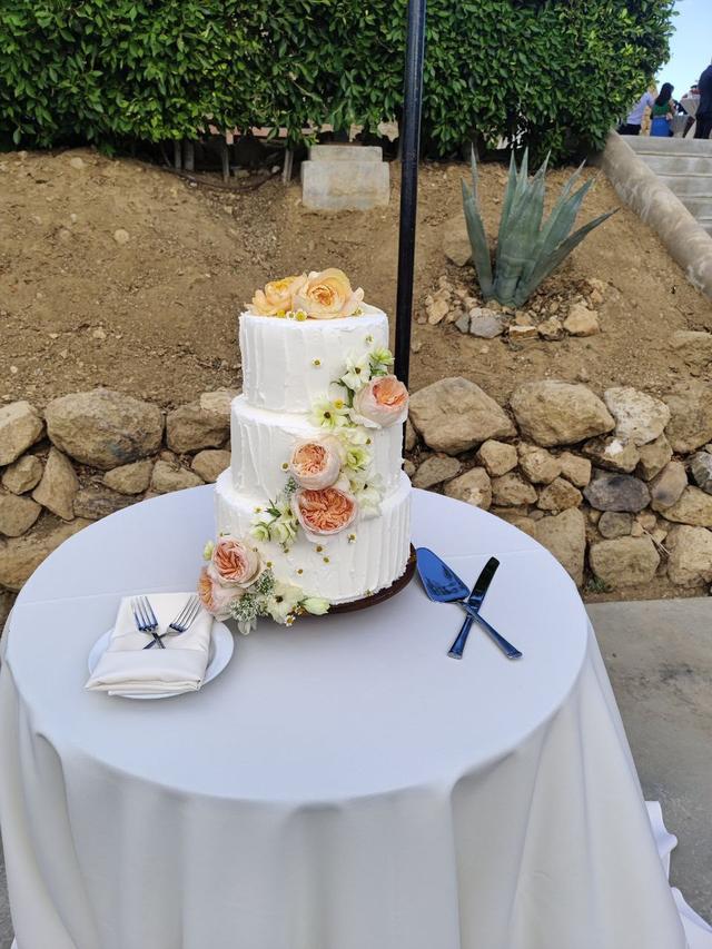 Weddings with Chelsi - 2