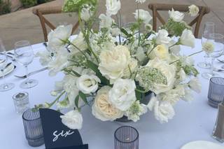 Beautiful Savage Flowers - 17