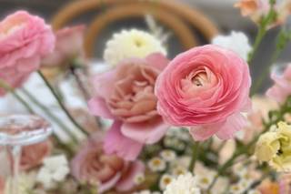 Winsome Floral - 15