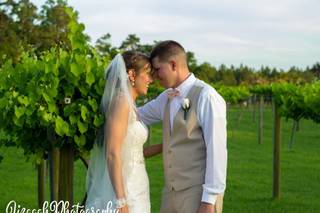 Cape Fear Vineyard and Winery - 18
