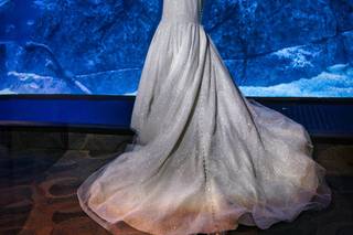 Martin Miller Photography - 7