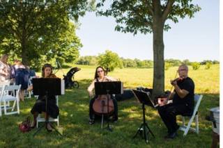 Stellare Strings - 14
