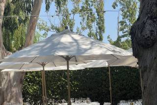 Cline Family Cellars - 5