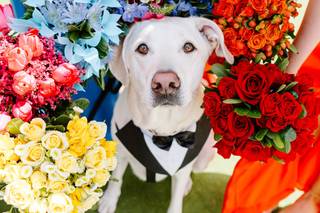 Wildrose Floral Design - 10