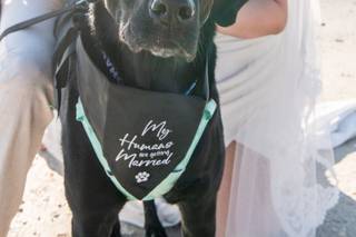 Jaimee Ponce Photography - 7