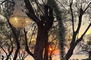 Vassiliki Creations - 5