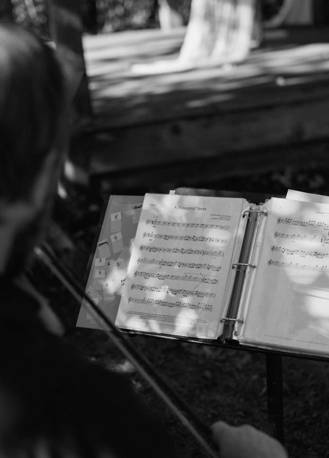 Big Sky Strings - 2