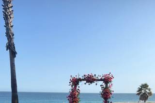 Cabo In Love - 7