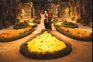 Phipps Conservatory - 28