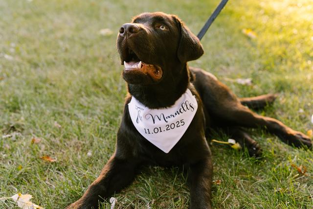 Megan Antalek Photography - 1