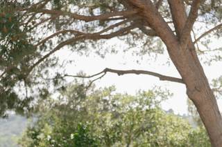 Soka University of America - 6