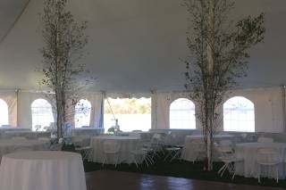 Celebration Rentals - 15