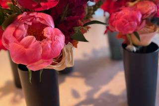 Bloom + BluePrint - 12