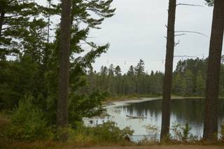 Pinecrest Northwoods - 6