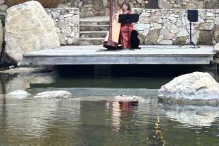 Beverly Arnold, Harpist - 7