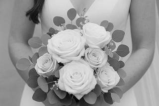 Velens Photography - 6