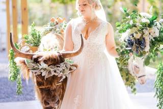 Melissa Kincaid Photography - 9