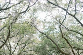 Christi Clark Photography - 6