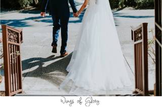 Wings Of Glory Photography - 28