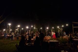 Mimi's Party Palace 2