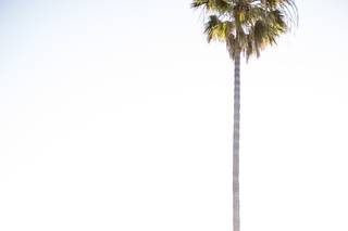 Ballad's Photography - 8