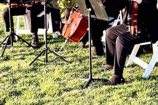 Ceremonious Strings - 11
