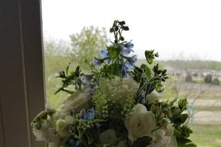 Blooms - 13