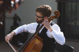 Ryan Smith Cello - 8
