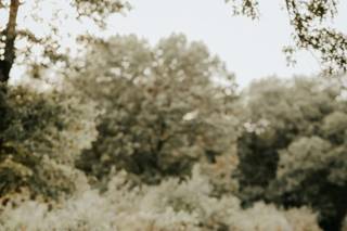 Danielle Schury Photography - 16